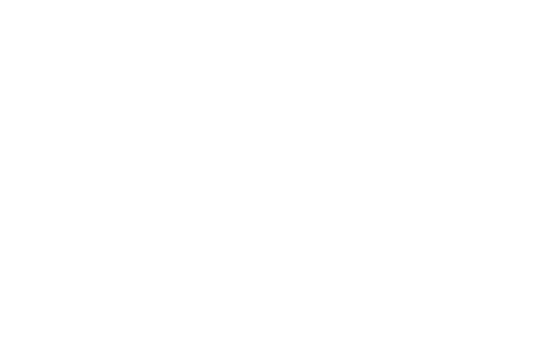 Go Global. Estrategia para hacer crecer tu negocio.